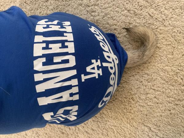 /images/uploads/pug nation rescue of los angeles/pugnation2021/entries/15148thumb.jpg